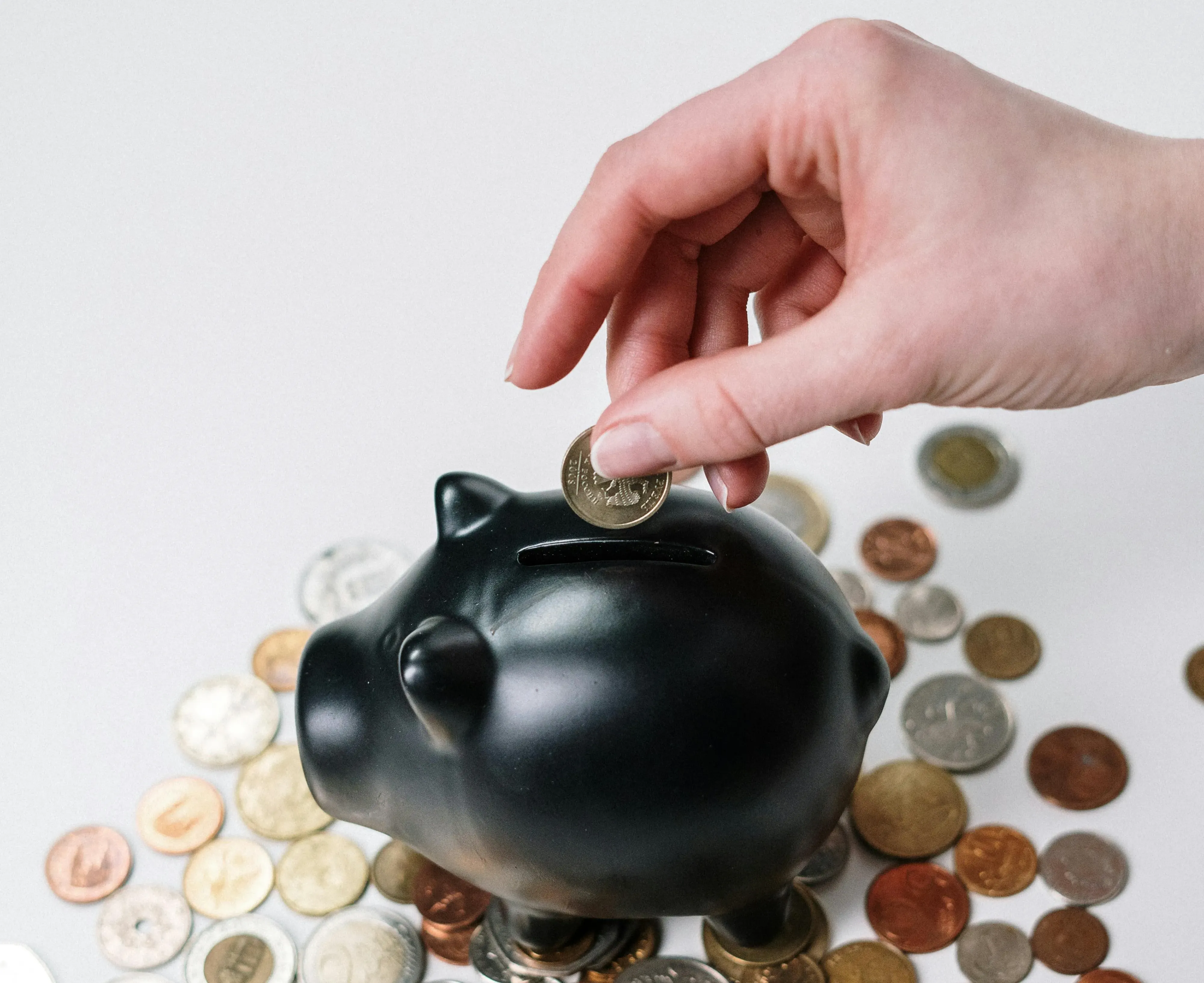 piggy bank